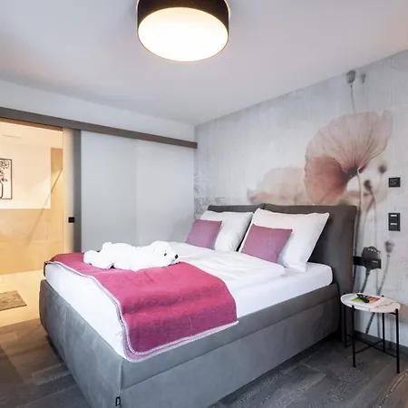 Penthouse Julia Naehe Badesee Mit Infrarotsauna -zell Am Kaprun Apartment Niedernsill