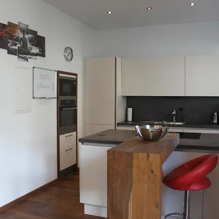 Penthouse Julia Naehe Badesee Mit Infrarotsauna -zell Am Kaprun