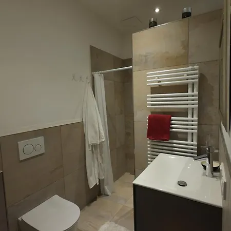 Penthouse Julia Naehe Badesee Mit Infrarotsauna -zell Am Kaprun شقة نيدرمسيل