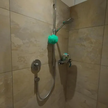 Penthouse Julia Naehe Badesee Mit Infrarotsauna -zell Am Kaprun