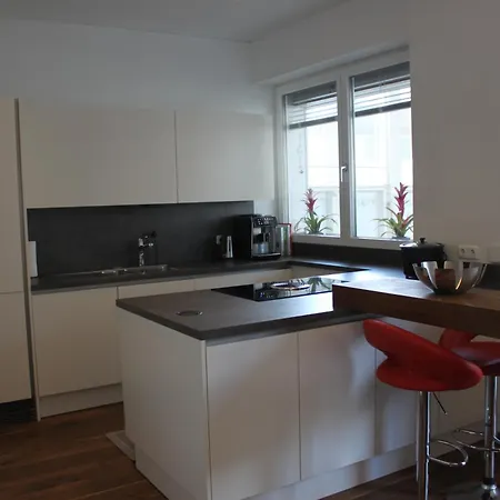 Penthouse Julia Naehe Badesee Mit Infrarotsauna -zell Am Kaprun Διαμέρισμα *