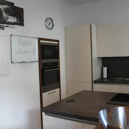 Penthouse Julia Naehe Badesee Mit Infrarotsauna -zell Am Kaprun Apartment Niedernsill