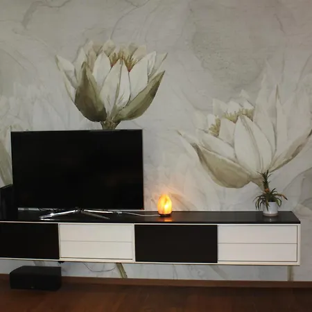 Penthouse Julia Naehe Badesee Mit Infrarotsauna -zell Am Kaprun נידרנסיל