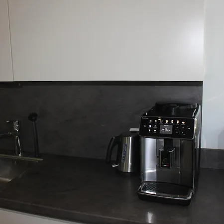 Penthouse Julia Naehe Badesee Mit Infrarotsauna -zell Am Kaprun Apartment *