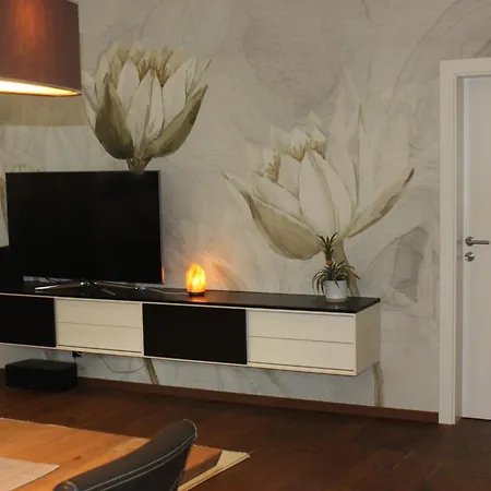Penthouse Julia Naehe Badesee Mit Infrarotsauna -zell Am Kaprun Appartamento Niedernsill