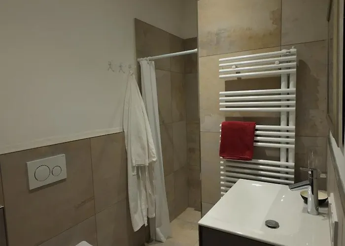 Penthouse Julia Naehe Badesee Mit Infrarotsauna -zell Am Kaprun 아파트 니에데른실